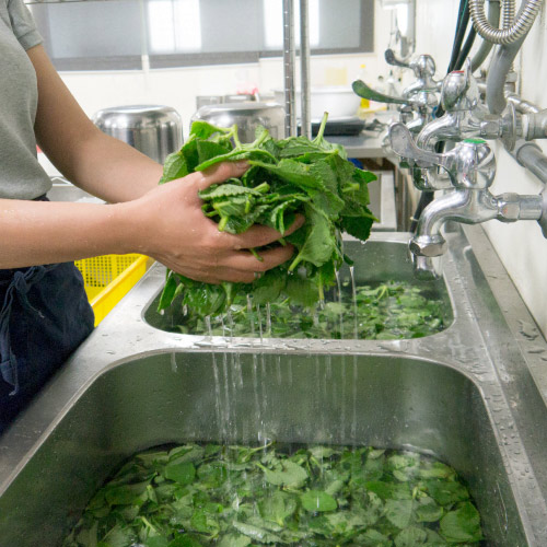 左手香王-順膚草本皂【效期-2026.10】
